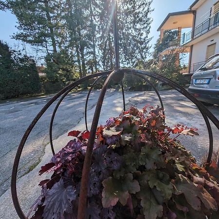 Paradeisos Residence Sas Somma Lombardo Exteriér fotografie